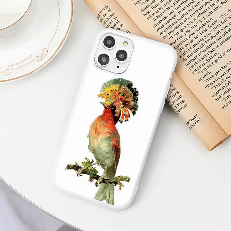 

Flower Bird Parrot Phone Case Candy Color for iPhone 6 6S 7 8 11 12 XS X SE 2020 XR mini pro Plus MAX funda