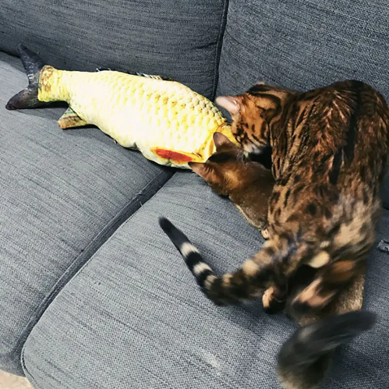 Новое поступление кошачья рыба Реалистичная плюшевая игрушка для кошек сом мята