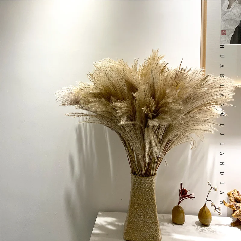 

2020 New Arrival Wedding use pampas flowers bunch 100% natural plants christmas decor dried flower bouquet for home decoration