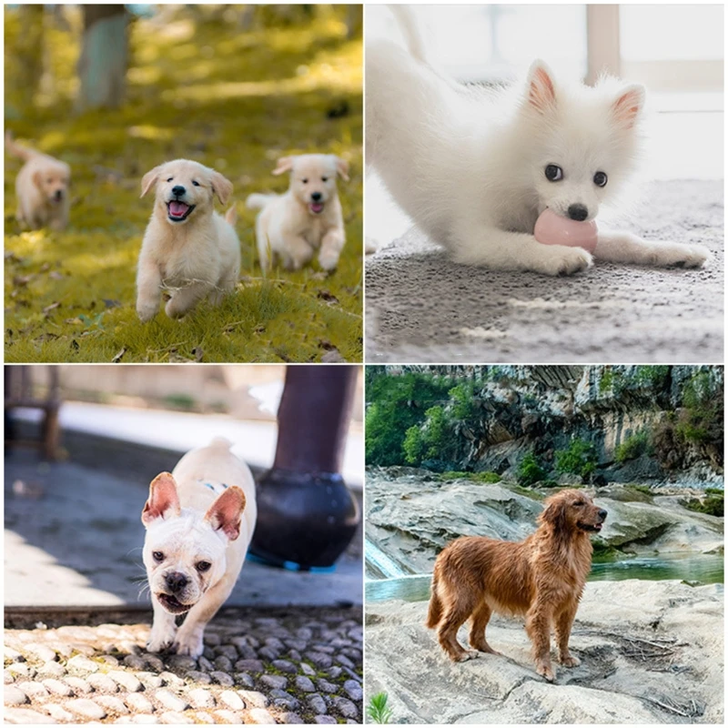 Летние подкладки для льда T84F новый холодный охлаждающий воротник