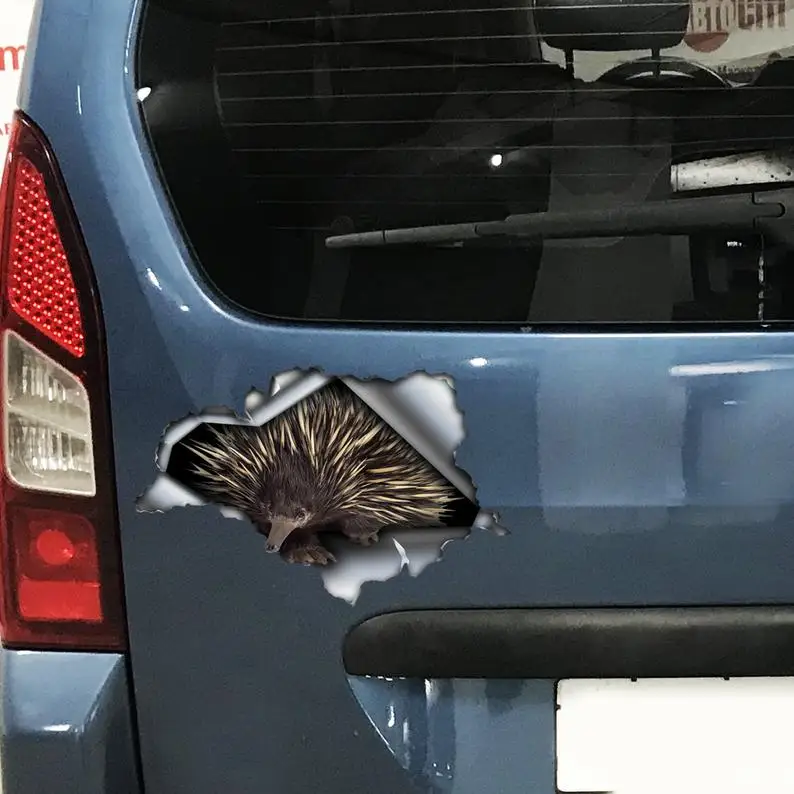 

2021 Echidna car decal ,echidna magnet, echidna sticker
