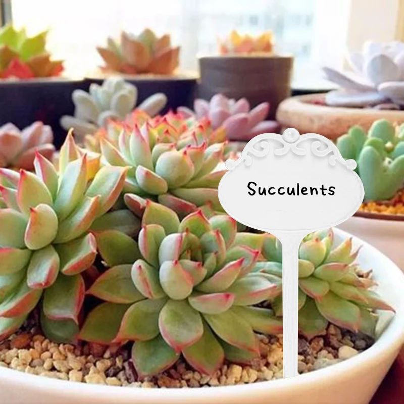 

Cute Waterproof Garden Plant Tags for Indoor Outdoor Use, 20 Pcs T-Type Plant Labels for Potted Plants