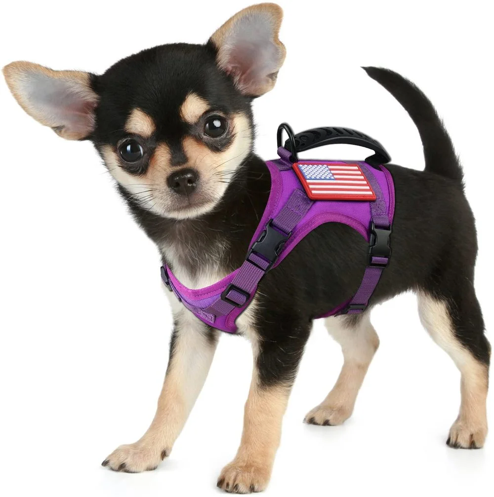 Arn&eacute;s t&aacute;ctico militar para perros y gatos, Collar de chaleco de nailon 600D MOLLE, transpirable, correa de pecho ajustable para entrenamiento, caminar, seguridad para cachorros-5