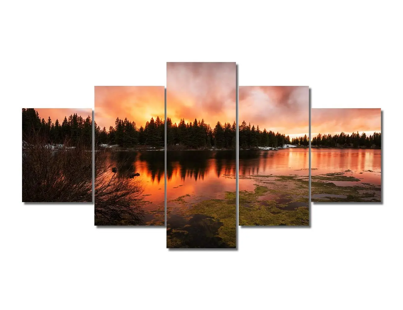 

Декоративная живопись на холсте с изображением природного леса в сумерках Колорадо, США, современный настенный плакат, картина для домашне...