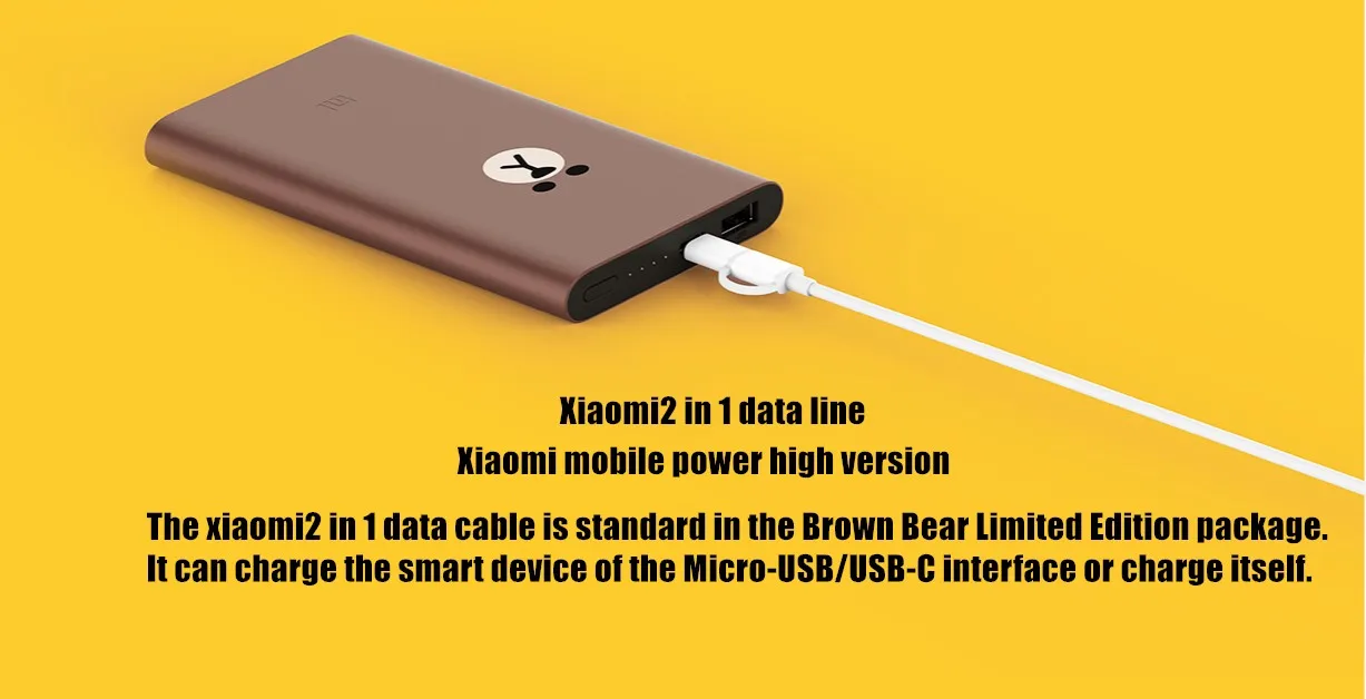 Xiaomi внешний аккумулятор коричневый медведь Ограниченная серия 10000 мАч 18 Вт Быстрая зарядка портативное зарядное устройство