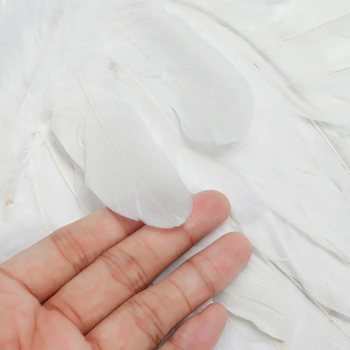 

The Sexy New Feather Cosplay Wings Victoria Feather Extra Large White Wings Cars Party Costumes