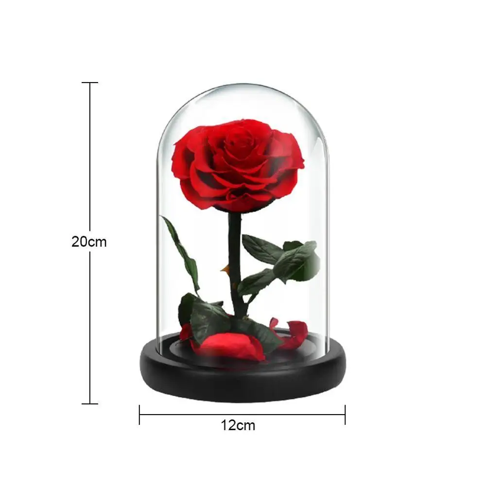 

Eternal Preserved Rose In Glass Dome Flower Heads Rose Forever Love Wedding Favor Glass Cover Immortal Rose Valentine Christm