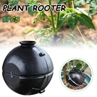 Шарик для укоренения растений, 5 шт.