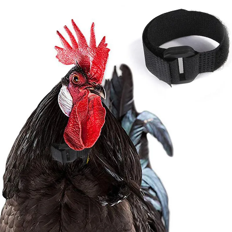 Петух Шум Бесплатная доставка анти крючок шейный платок воротник 2 шт. петуха с