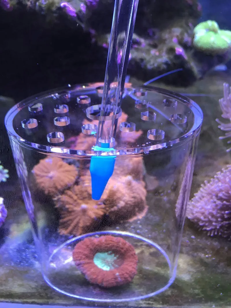 SPS LPS коралловый питатель Улучшенный кормушка акриловый для кормления морские