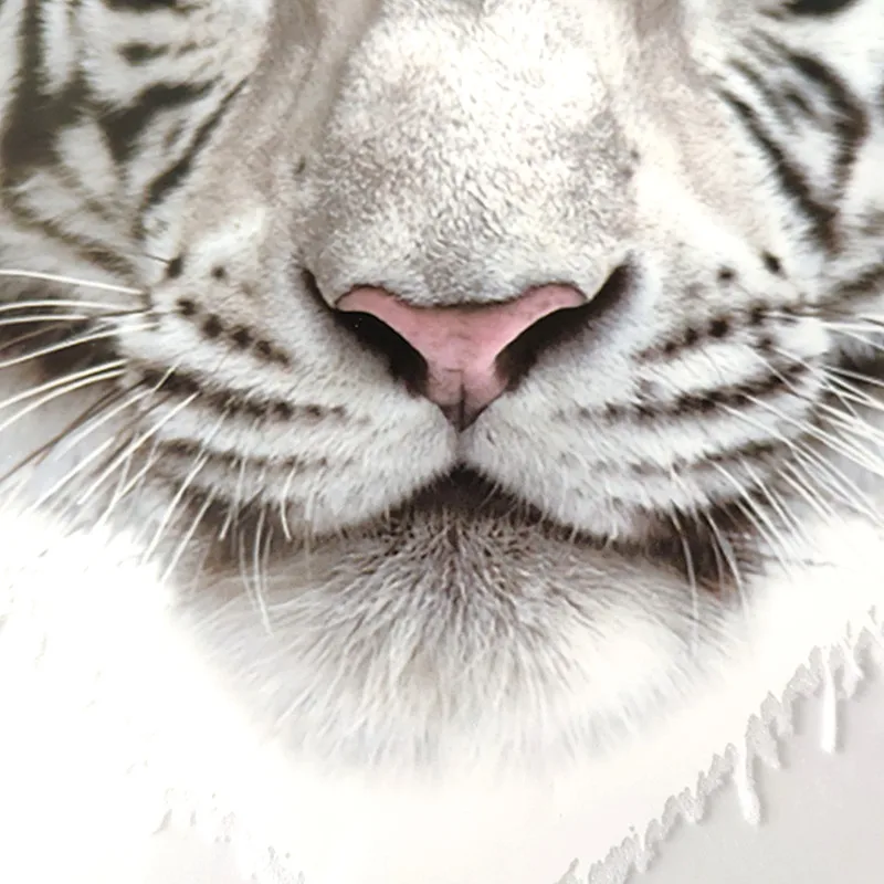 Байкерская пластырь термопереводная печать наклейки сделай сам женская одежда