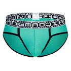 Мужские трусы бикини с мешочком для пениса, черные сетчатые нейлоновые трусы, сексуальное нижнее белье для мужчин, гей-трусы 2019