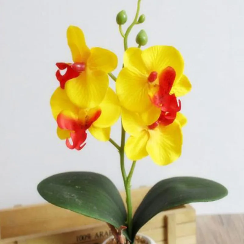 Моделирование цветы нарядное четыре Орхидея Бабочка мясистое растение бонсай