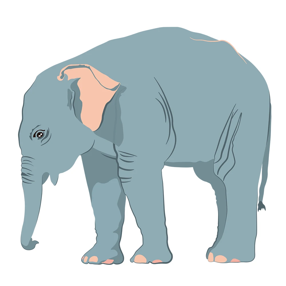 Наклейки на бампер автомобиля с единорогом слоном жирафом и наклейками для