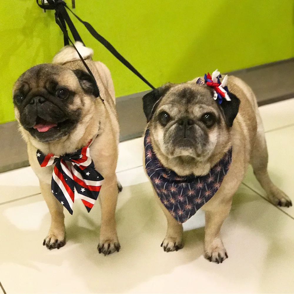 

30pcs American Independence Day Pet Dog Large BowTies Pet Dog Collar Dog Big Neckties Dog Grooming Products for 4th July