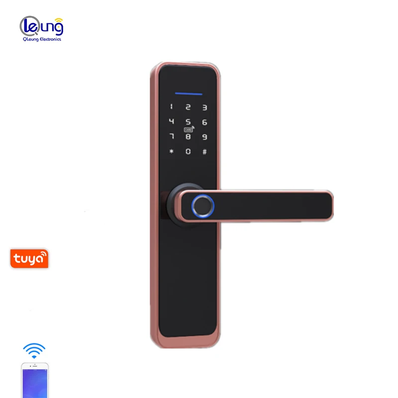 Заводская цена цифровой S801 Smart TTlock Wifi пароль дистанционное управление ключ карта