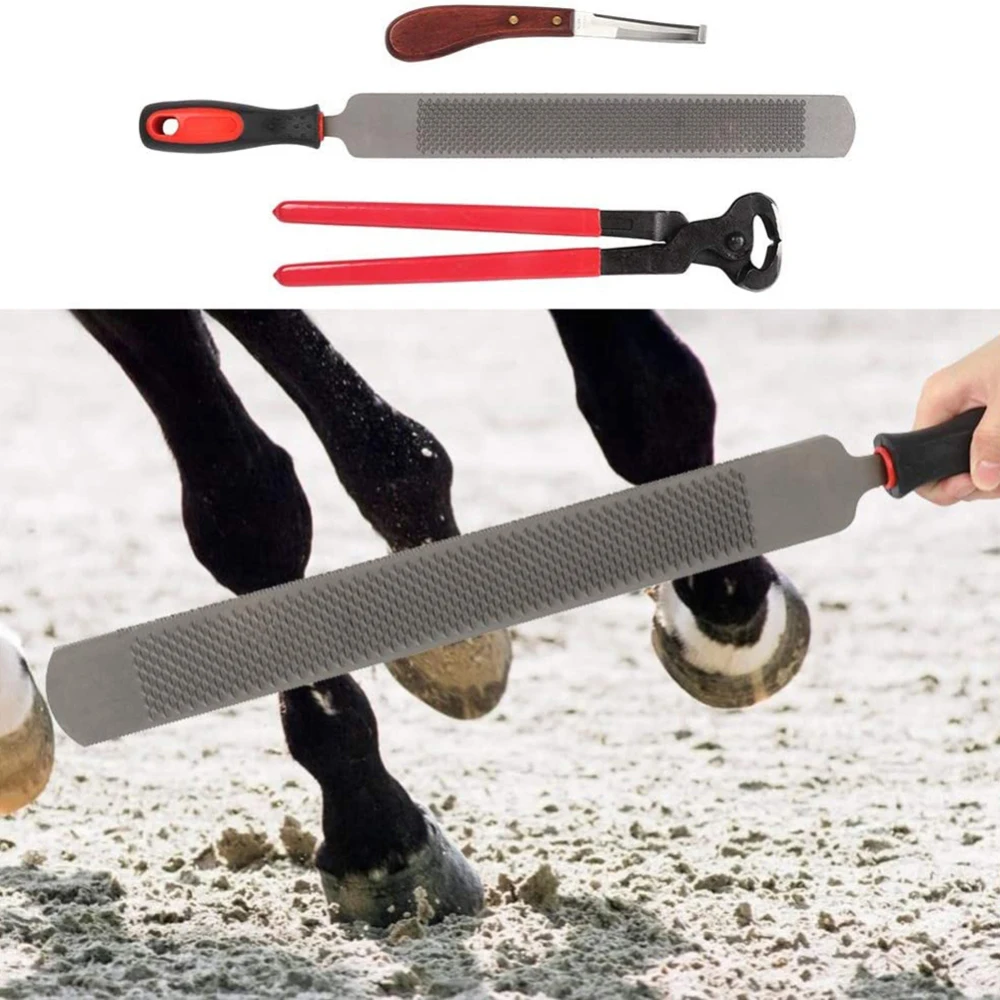 

3pcs Professional Horse Farrier Hoof Grooming Trimming Tool Kit Horseshoe File Equine Metal Shears Hoof Nipper Cutter Handle