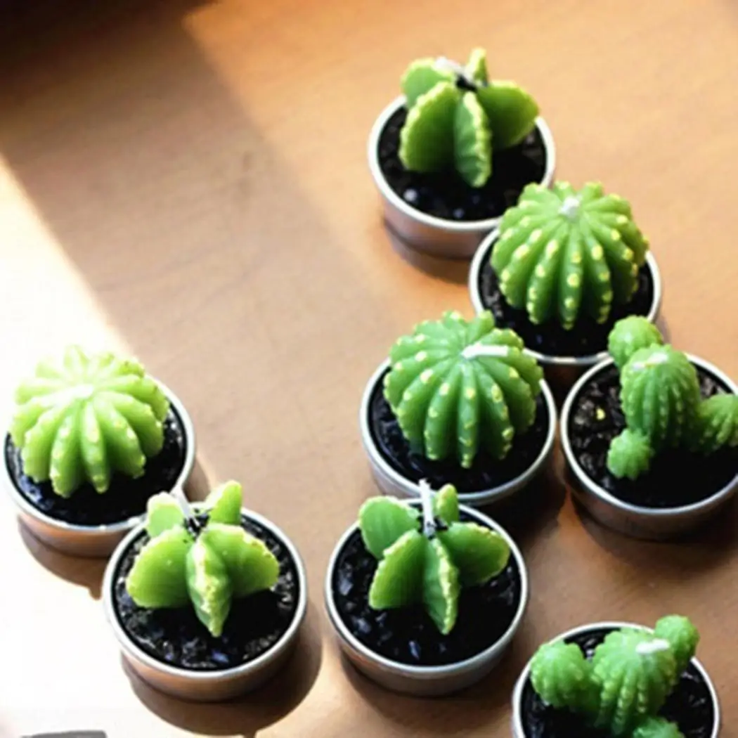 Рождественские Свадебные вечерние 40 растений повседневные 30 свечей кактус