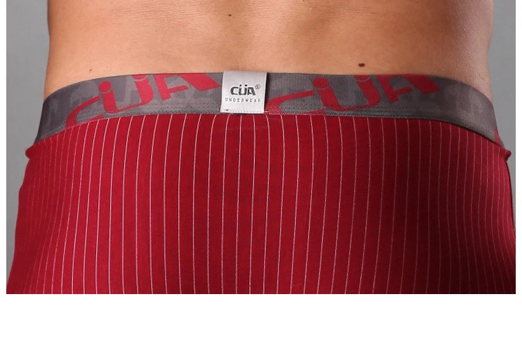 Новинка мужское нижнее белье Бамбуковые Боксеры мужские трусы сетчатые