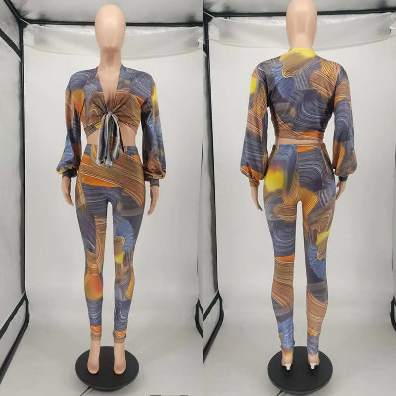 Элегантный комплект из двух предметов с принтом Женский Осенний укороченный топ