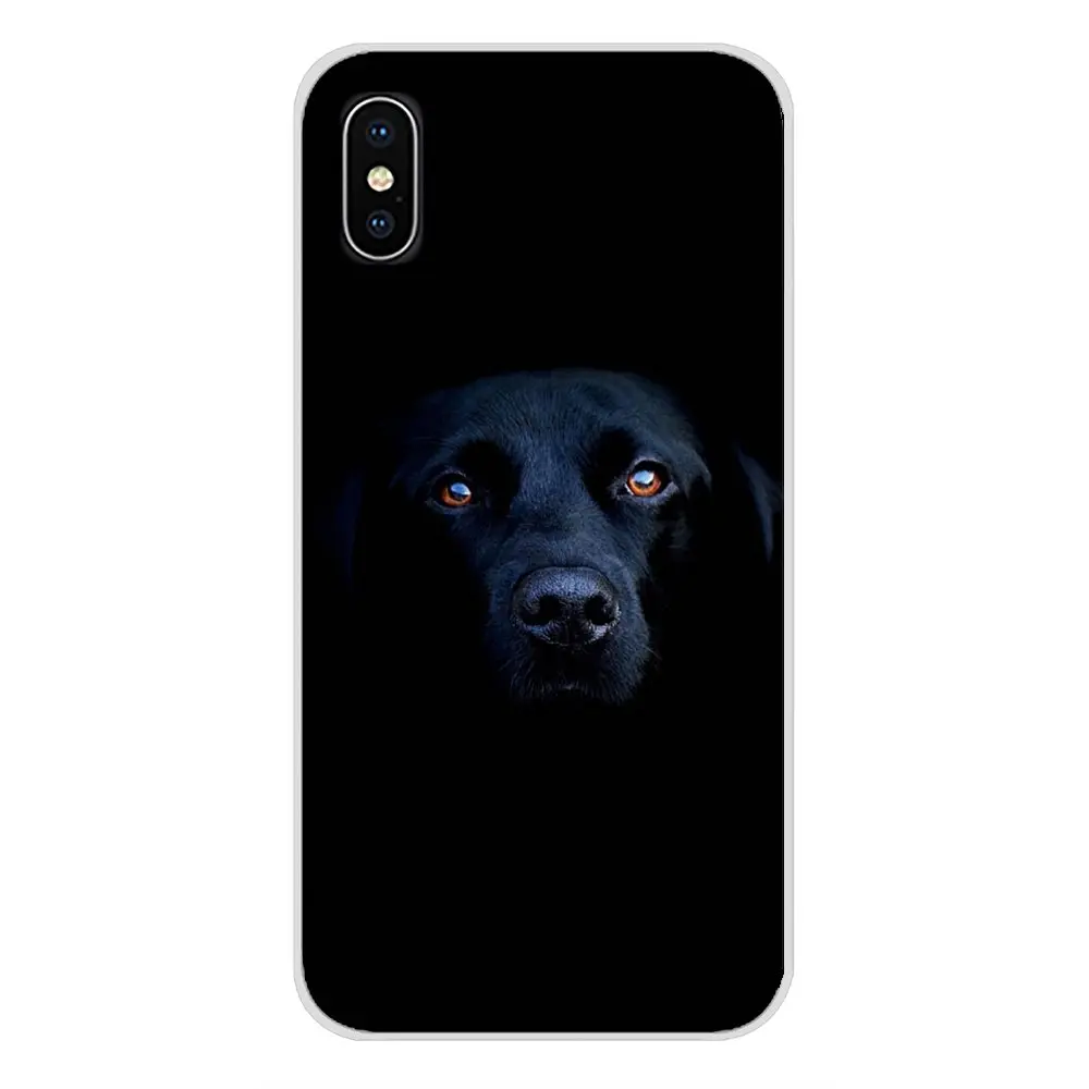 images 8 Прозрачные мягкие чехлы Чехлы забавные Лабрадор собака для huawei G7 G8 P7 P8 P9 P10 P20 P30 Lite Mini Pro P Smart Plus - Цвет: images 8