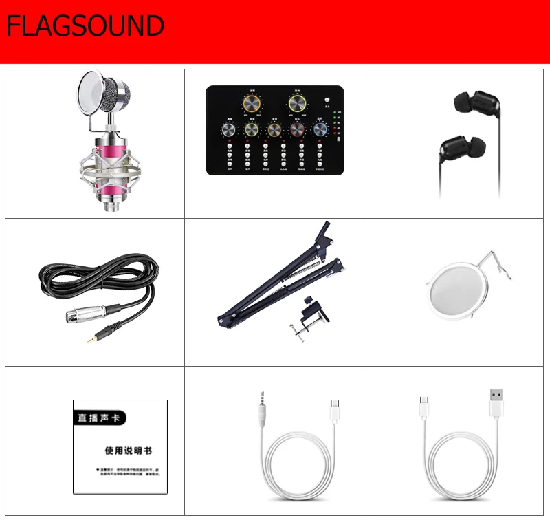 Профессиональная звуковая карта V10 для студийной записи конденсаторного