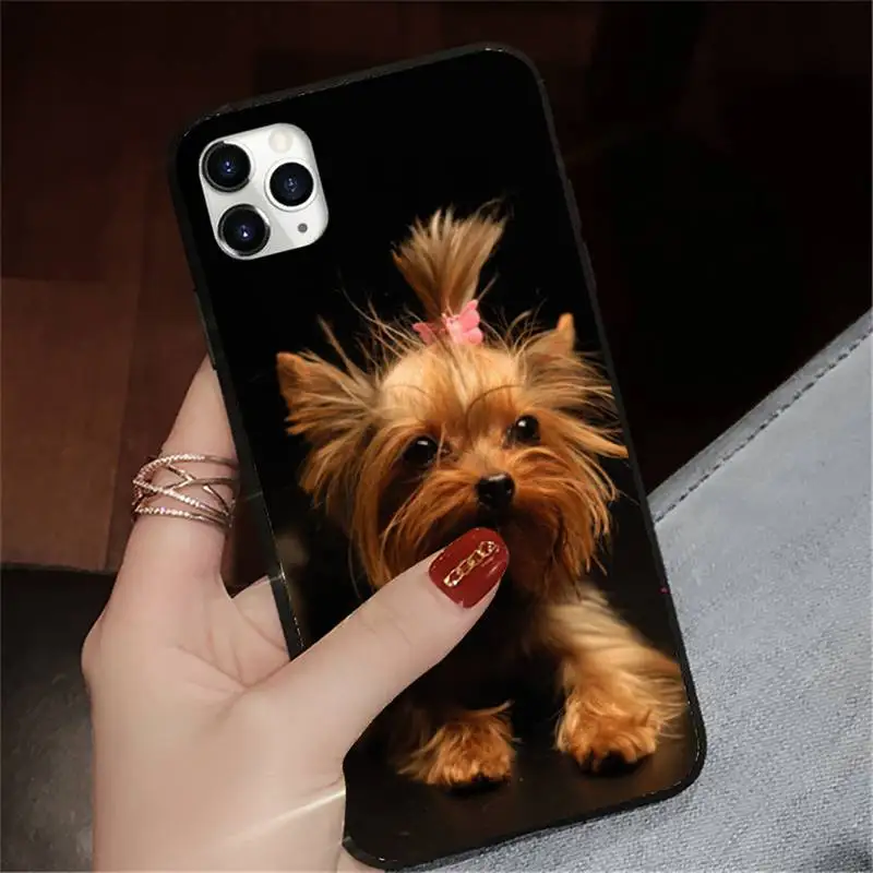 

Mini Yorkshire Terrier Dog cute animal coque cover funda Phone Case for iPhone 11 12 pro XS MAX 8 7 6 6S Plus X 5S SE 2020 XR