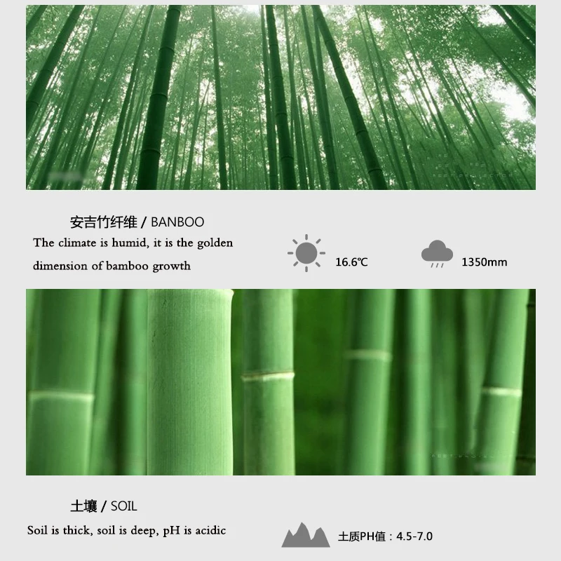 

High Quality Brand Men Bamboo Fiber Socks Anti-Bacterial Breathable Business Dress Socks Man Sock For Gift