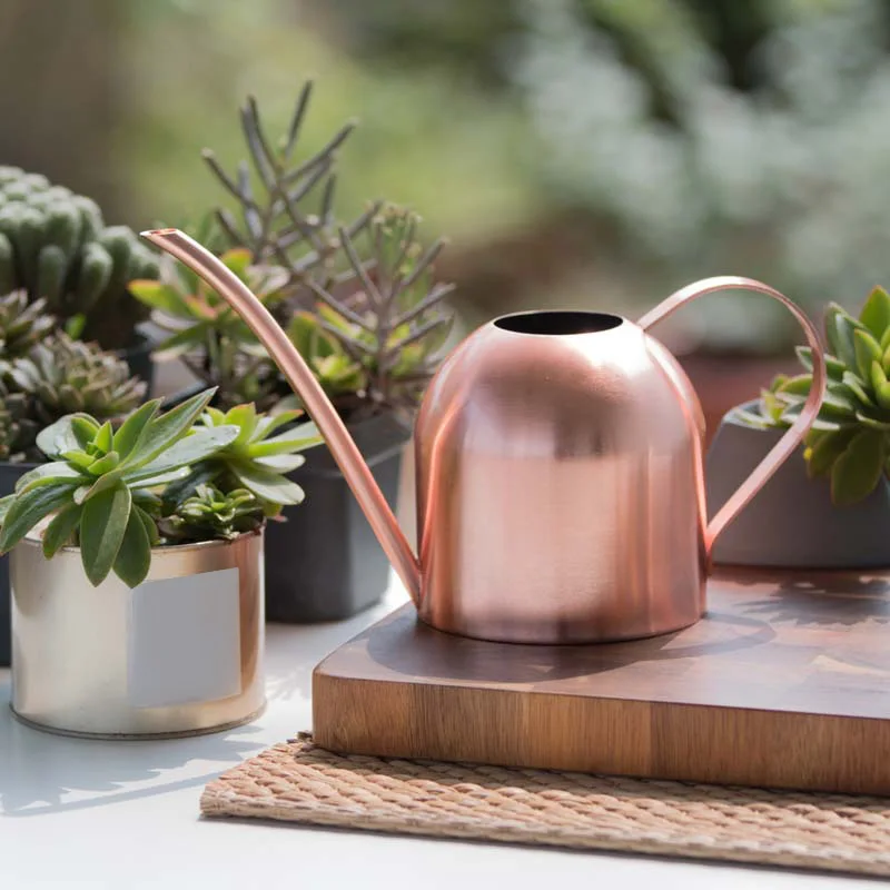 

Stainless Steel Watering Can Kettle Garden Home Bottle Plants Flower Sprinkler Pot Tools(Rose Gold)