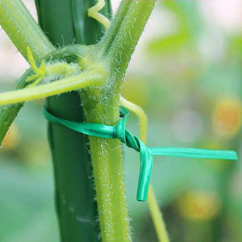 

100pcs gardening strapping wire, plastic-coated wire ties, plant fixed gardening pillars, climbing vines, binding ties S6A3789