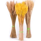 50 шт. настоящая Пшеница натуральный сушеный цветок для свадьбы Рождества дома альбом для скрапбукинга Декоративный букет пшеницы фото реквизит