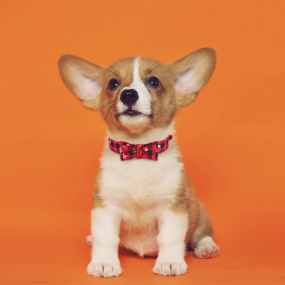 

Adjustable Christmas Dog Collar Bow Small Medium Puppy Collar Boy Girl Leather