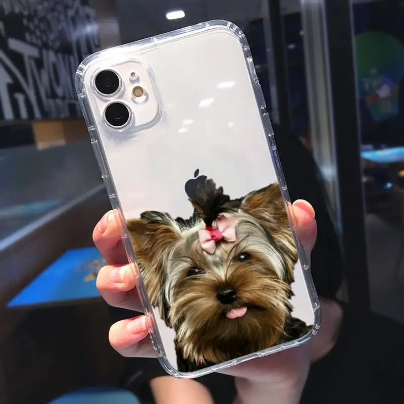 

Yorkshire terrier dog Newest Phone Cases Transparent for Clear iPhone 11 12 mini pro 8 7 6 6S XS MAX Plus X 5S SE 2020 XR