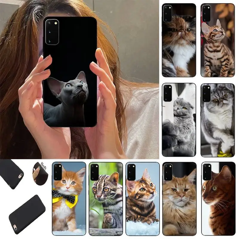 

Cat Phone Case Fundas Shell Cover For Xiaomi 8 9 Note10 For Redmi 8 9T Note9 4G