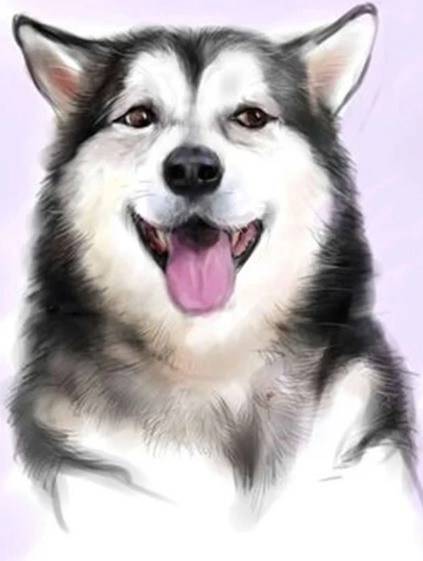18 5d Животные Собака серия Diy Алмазная картина Huskies Алмазная вышивка Собаки Полный Круглый Diy Алмазная мозаика наклейки на стену рукоделие - Цвет: 18