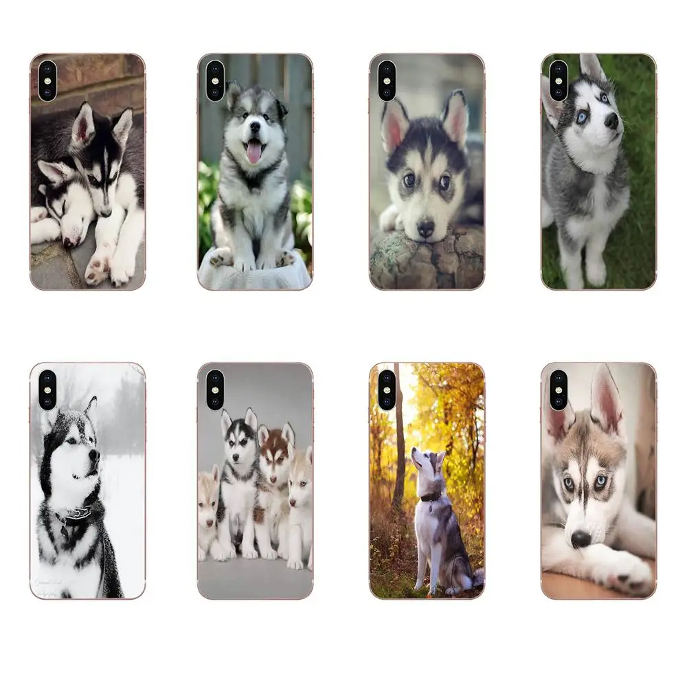 TPU сотовый телефон для samsung Galaxy Note 5 8 9 S3 S4 S5 S6 S7 S8 S9 S10 5G mini Edge Plus Lite Siberian Husky милые