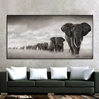 Картина на холсте с дикими животными, черно-белыми африканскими слонами, постеры Скандинавия, настенные картины для гостиной