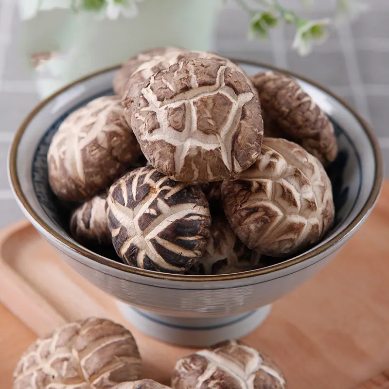 

Flower Mushroom,Duan Mu Hua Gu,Xiang Gu,Linden Mushroom