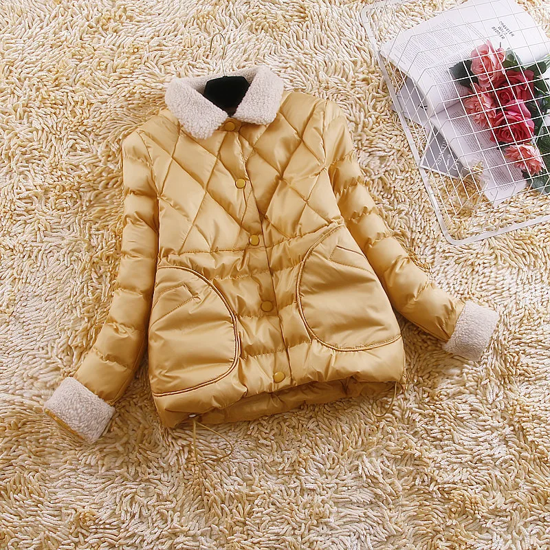 Новинка 2020 зимняя куртка Женская Корейская парка короткое пуховое пальто из