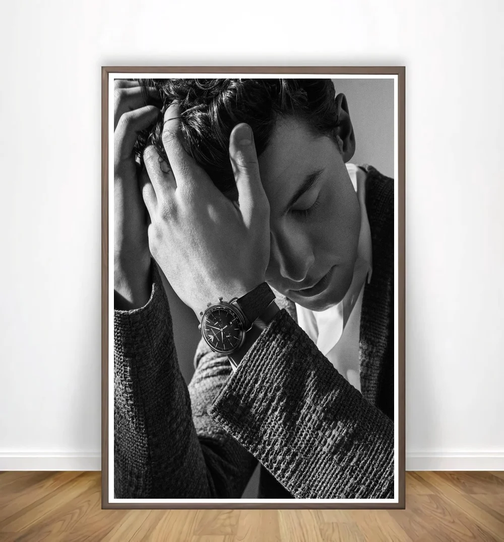 Shawn Mendes Poster ART Canvas Art Painting Wall Pictures For Living Room Home Decor | Дом и сад