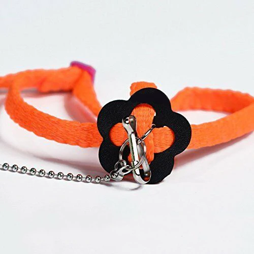 Регулируемый поводок для попугая мягкая многоцветсветильник шлейка птицы