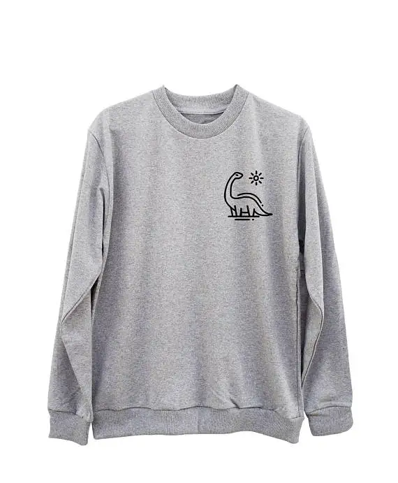 Толстовка с рисунком динозавра женские милые модные подростковые подарки