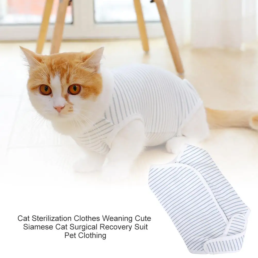 Высококачественная одежда для стерилизации кошек милый сиамский костюм