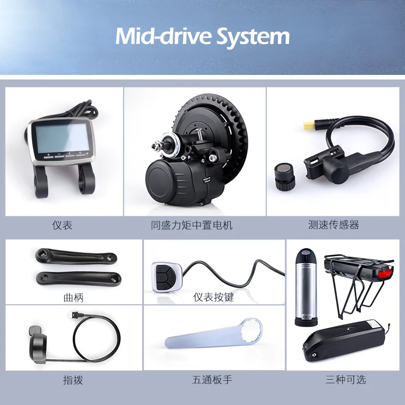 

Brushless gear hub motor