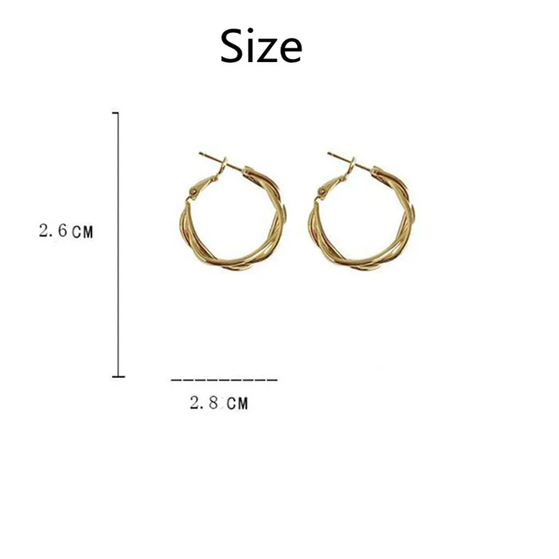 

Stainless Steel Twist Circle Hoop Earrings For Women Metal Geometric Retro Drop Earrings Party Gifts Fashion Jewelry Accessories
