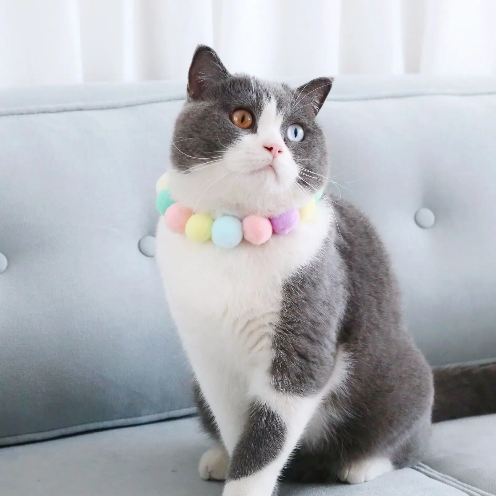 

Plush Ball Bead Cute Cat Collar Woven Sweet Dog Pet Necklace Scarf Kitty Accessories Puppy Neck Strap