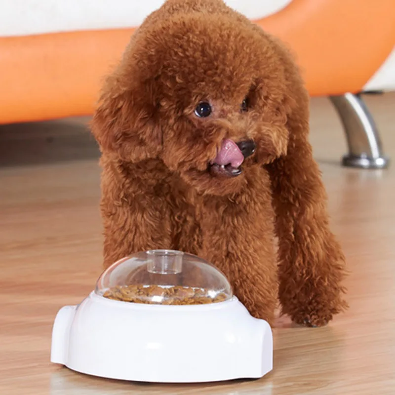 

Top Pet Dog Feeder Accessories Cat Bowl Automatic Feeder Slow Food Feeding Container For Small Dog Supplies Dropship