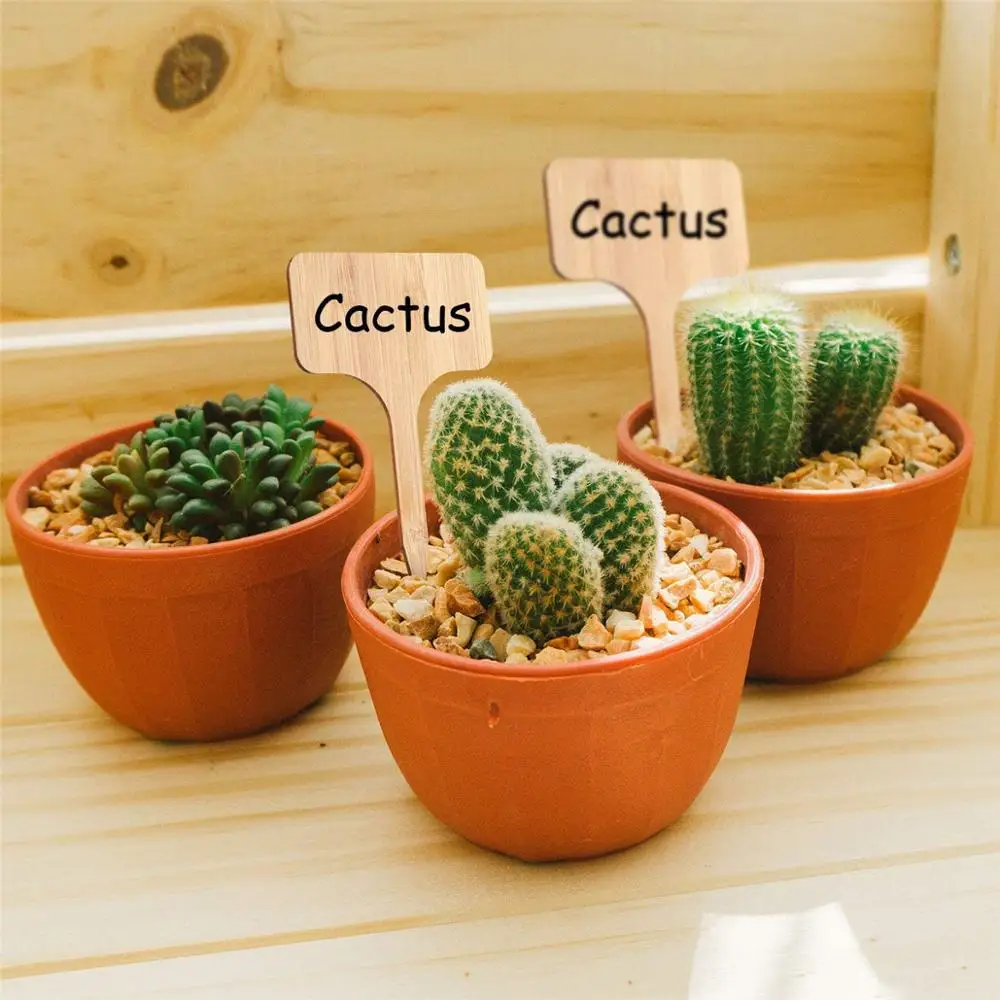 Бамбуковые этикетки для растений экологически чистые 6 типов деревянных бирок