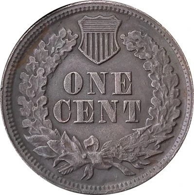 

1893 Indian head cents coin copy