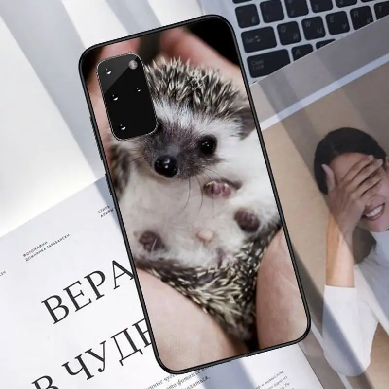 

Hedgehog Phone Case For Samsung A40 A31 A50 A51 A71 A20E A20S S8 S9 S10 S20 Plus note 20 ultra